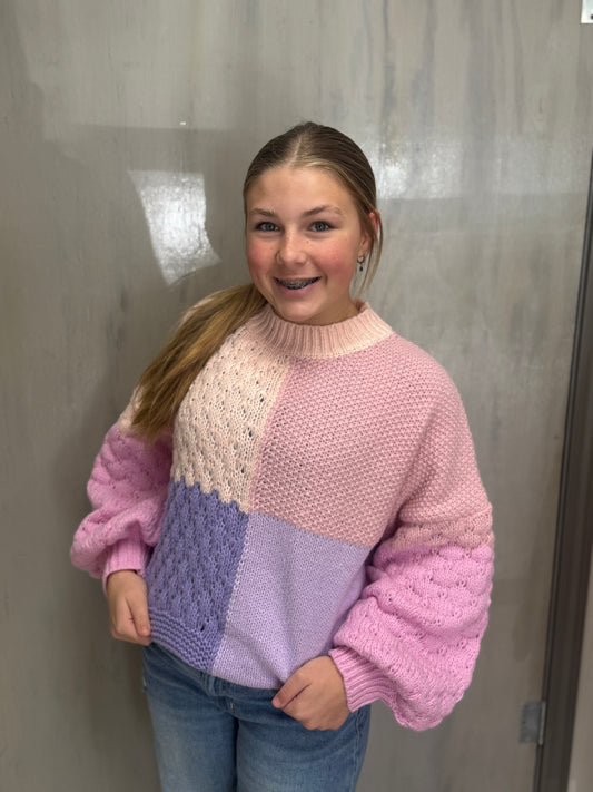 Purple Color Block Long Sleeve Sweater Top